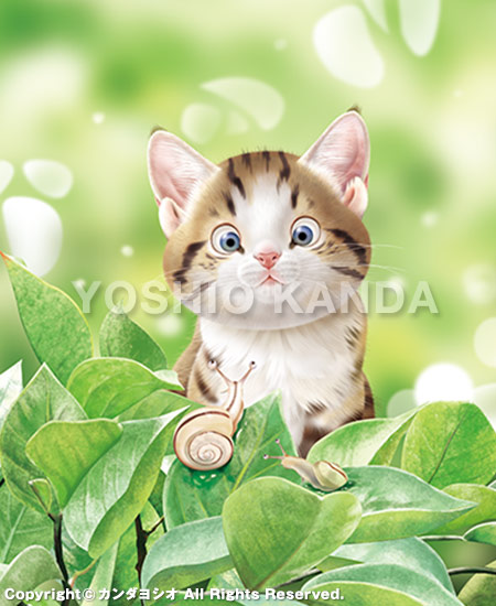 �r�b�O�R�~�b�N�I���W�i�������2025�N7�����\���G