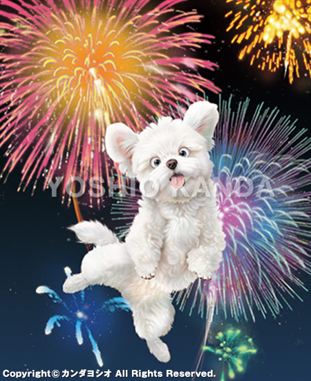 �r�b�O�R�~�b�N�I���W�i�������2025�N9�����\���G